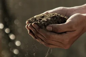 bokeh photography of person carrying soil